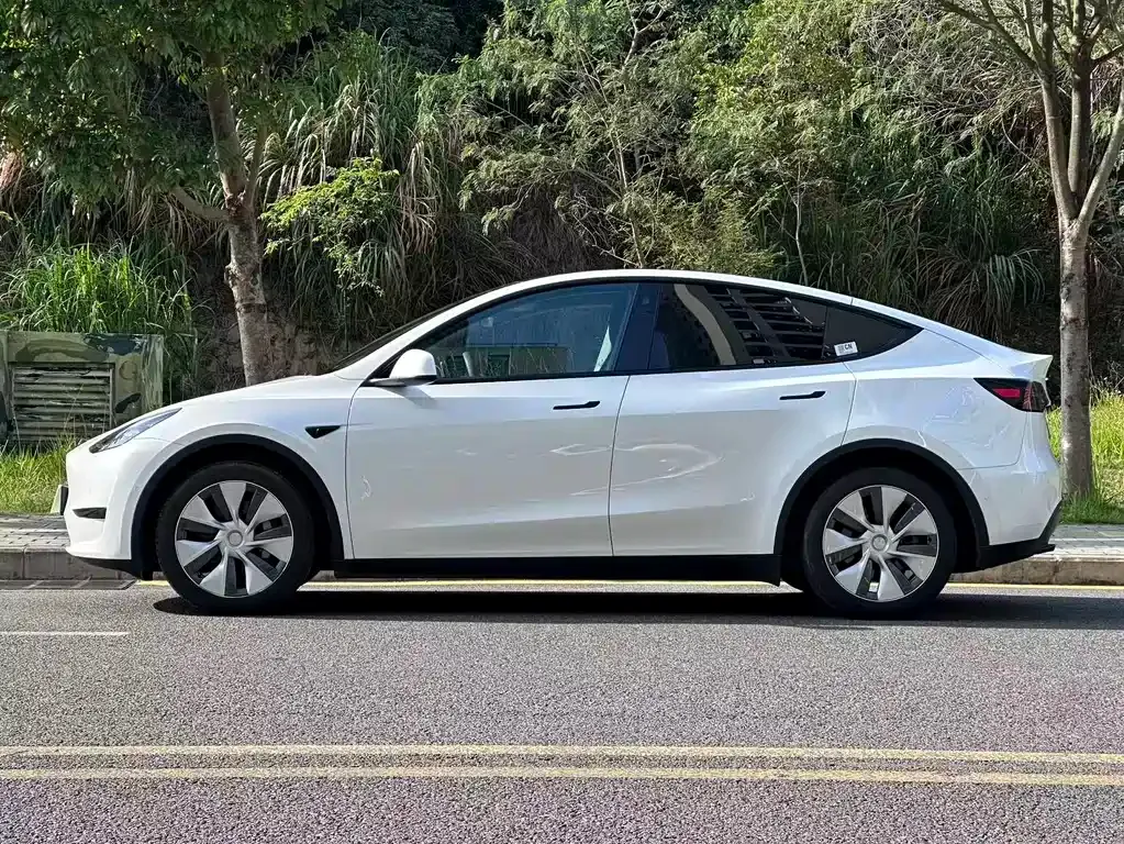 Tesla Model Y — фото 8