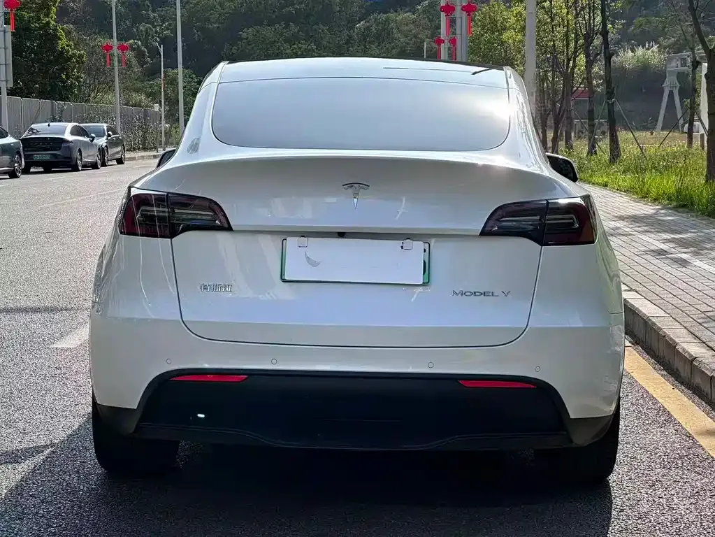 Tesla Model Y — фото 10