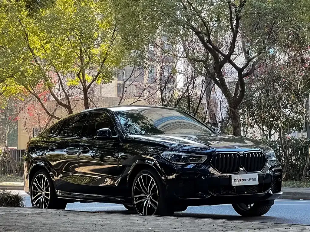 BMW X6 2023 из CN, фото 8