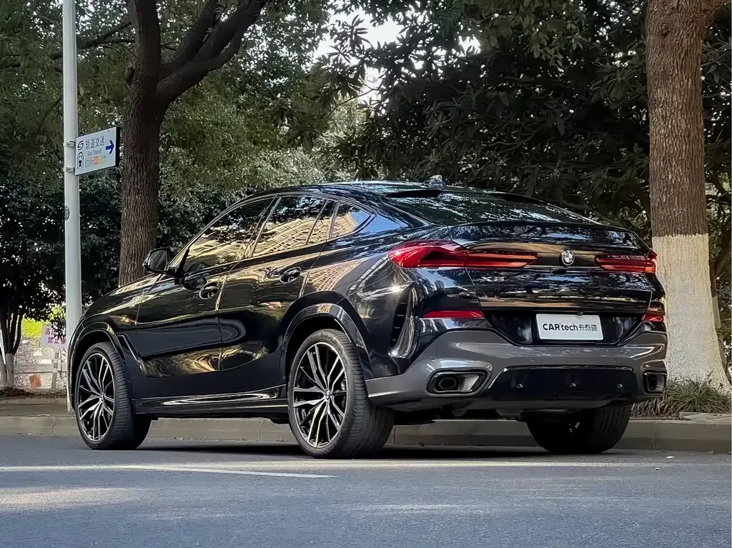 BMW X6 2023 из CN, фото 10