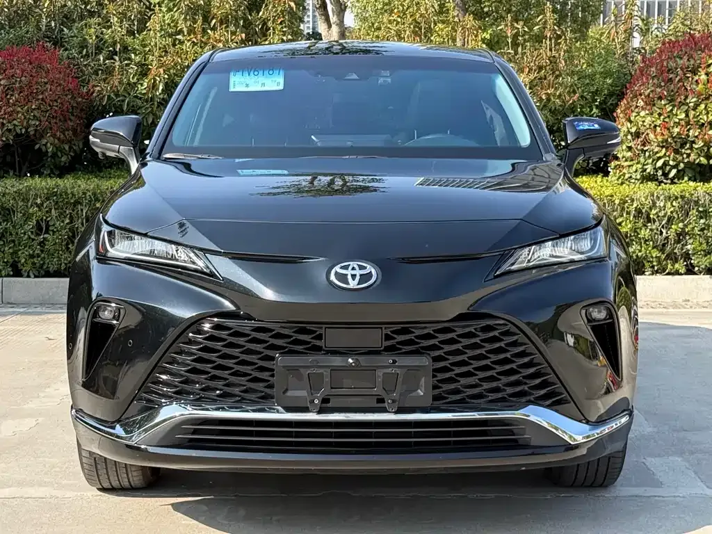 Toyota Venza 2024 из CN, фото 9