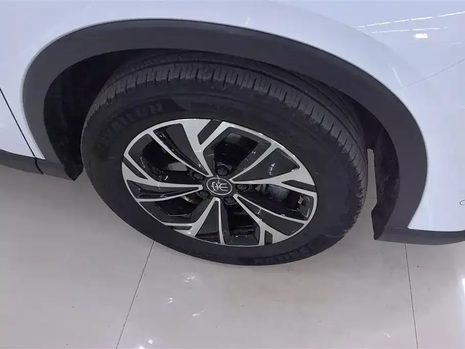 BYD Pro New Energy — фото 6