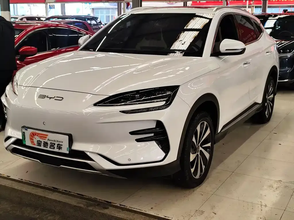 BYD PLUS New Energy — фото 1