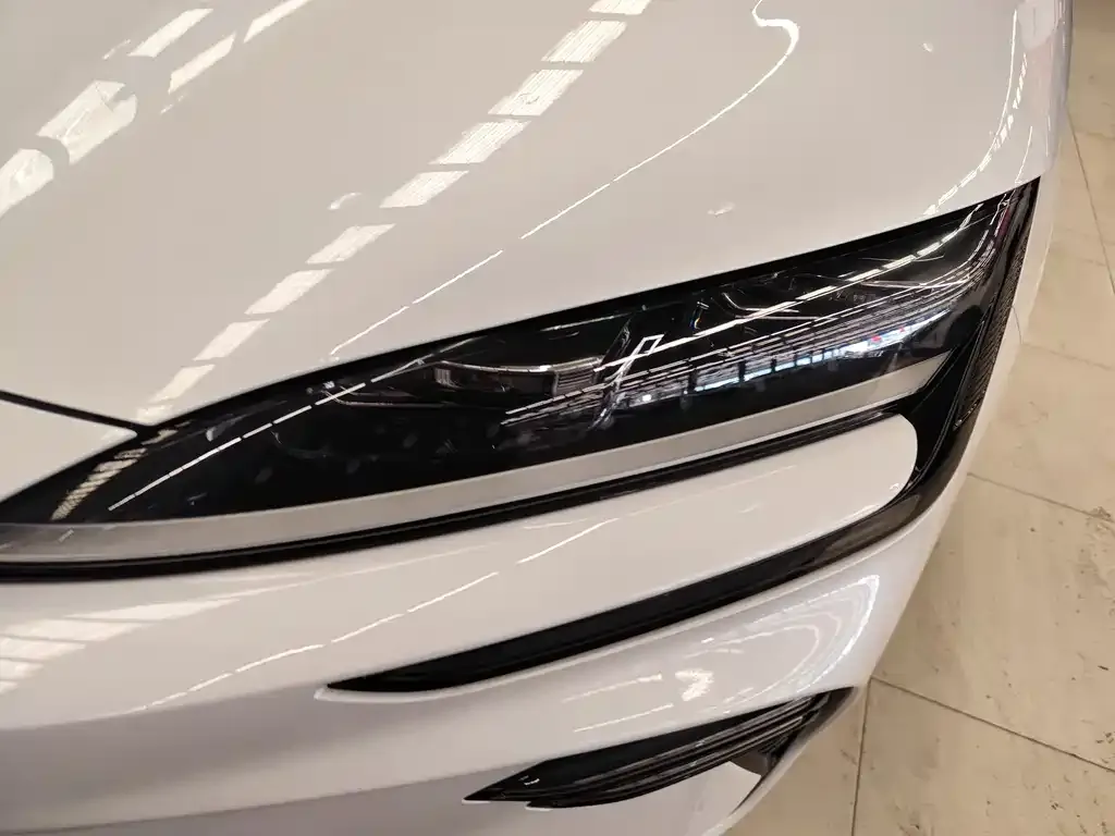 BYD PLUS New Energy — фото 9