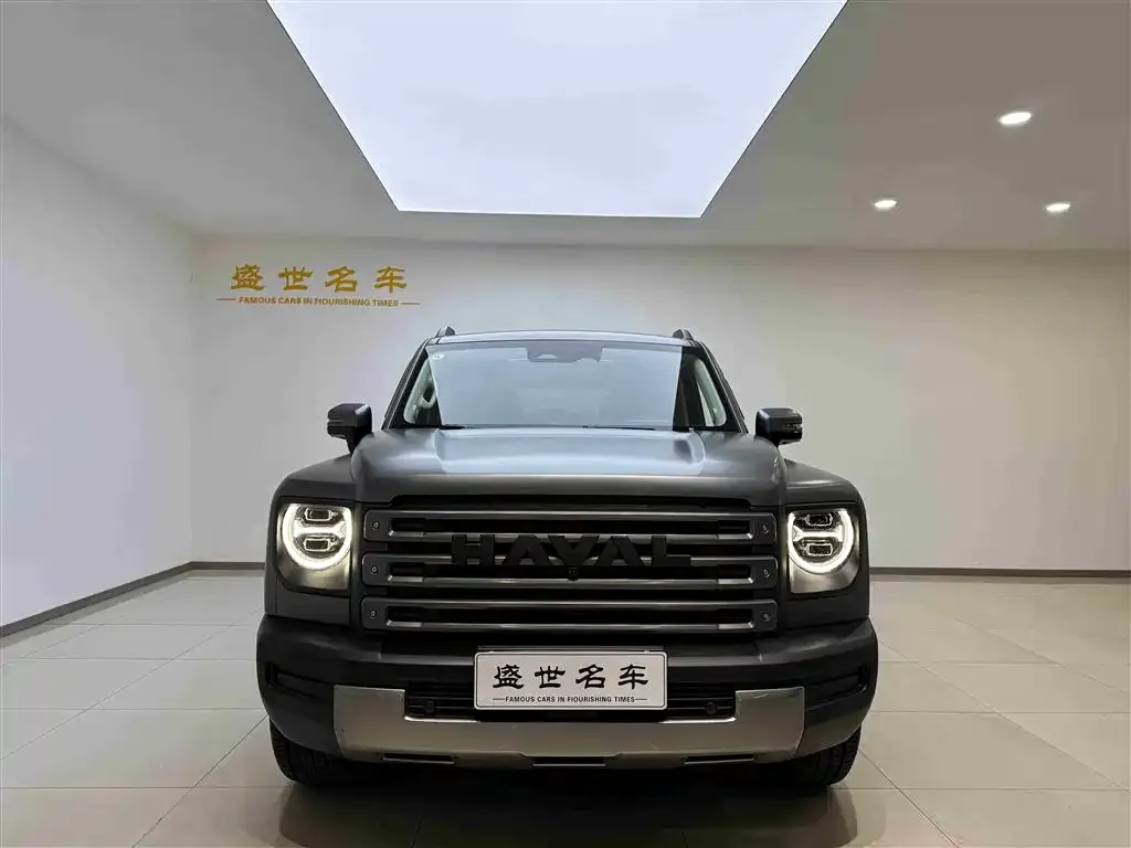Haval Menglong New Energy 2025 из CN, фото 5