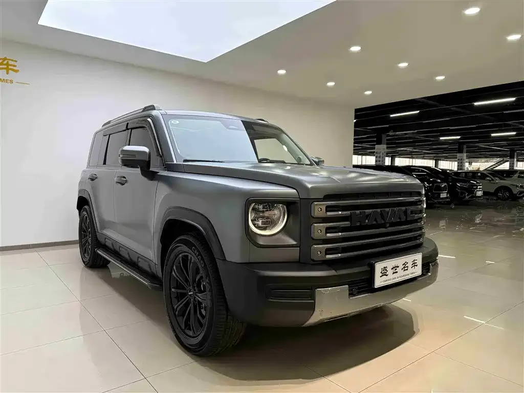 Haval Menglong New Energy 2025 из CN, фото 8