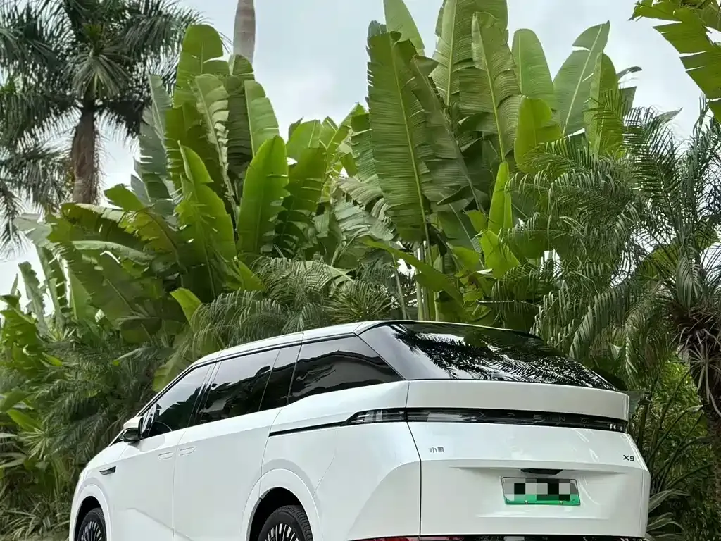 XPeng X9 2025 из CN, фото 6