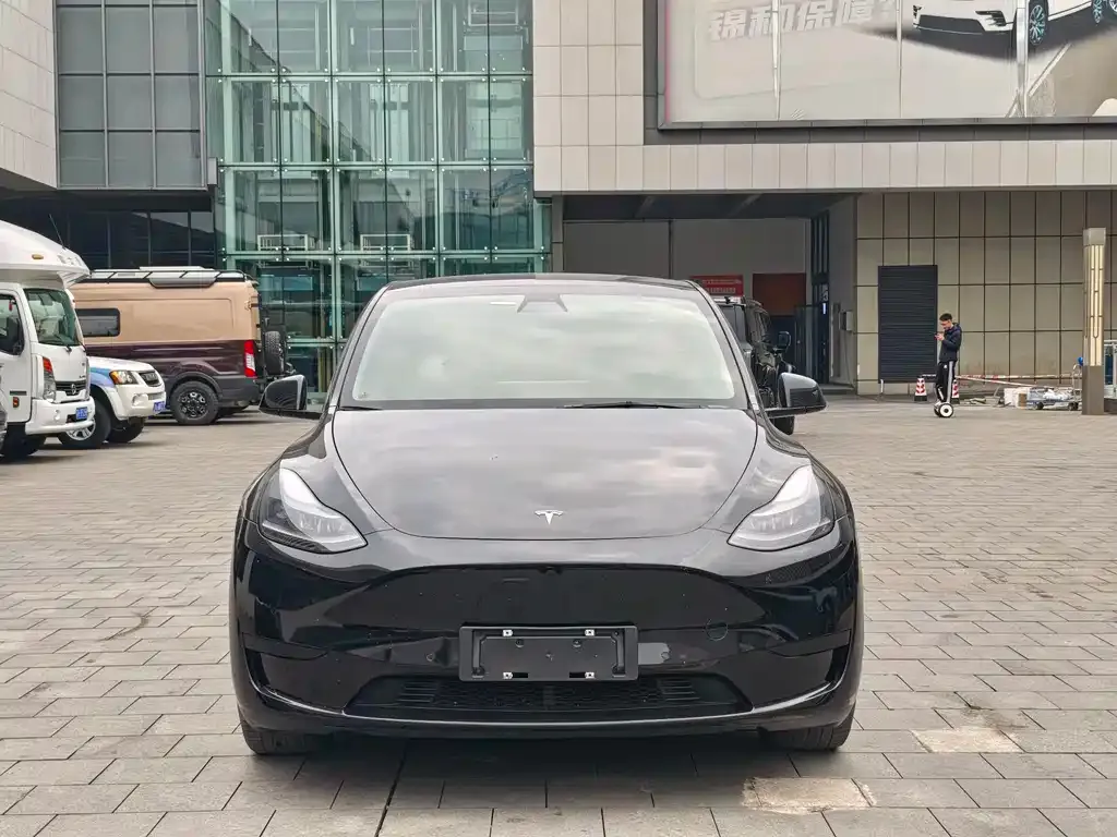 Tesla Model Y — фото 3
