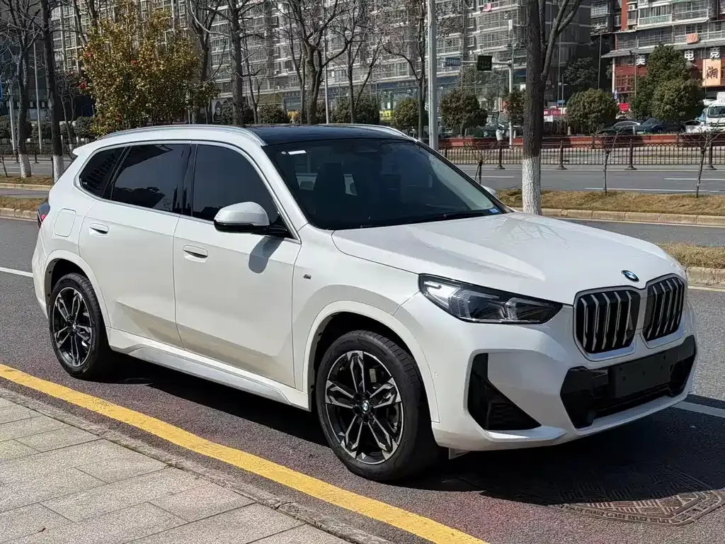 BMW X1 2023 из CN, фото 8