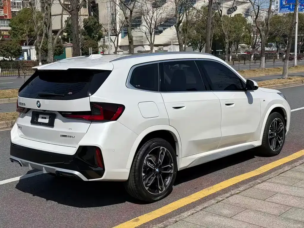 BMW X1 2023 из CN, фото 9