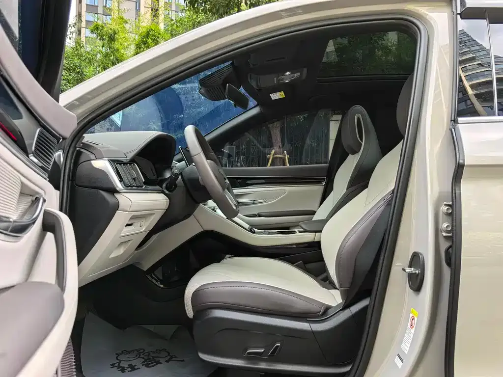 BYD PLUS New Energy — фото 4