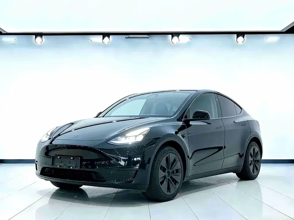 Tesla Model Y 2022 из CN, фото 1