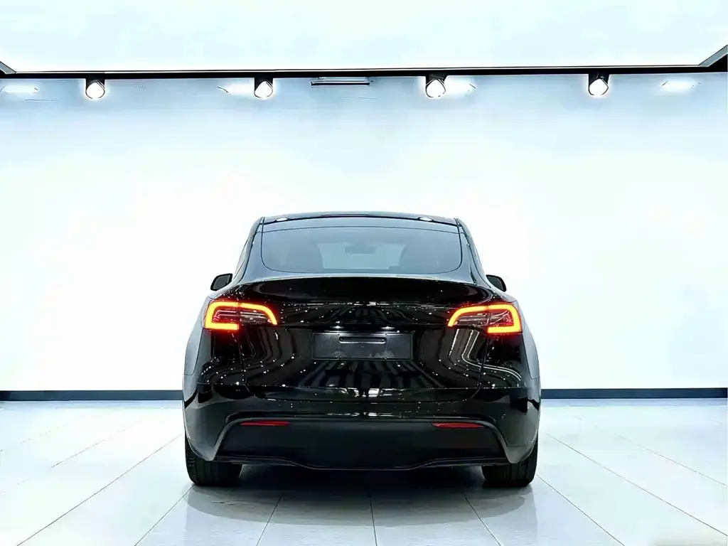 Tesla Model Y 2022 из CN, фото 5