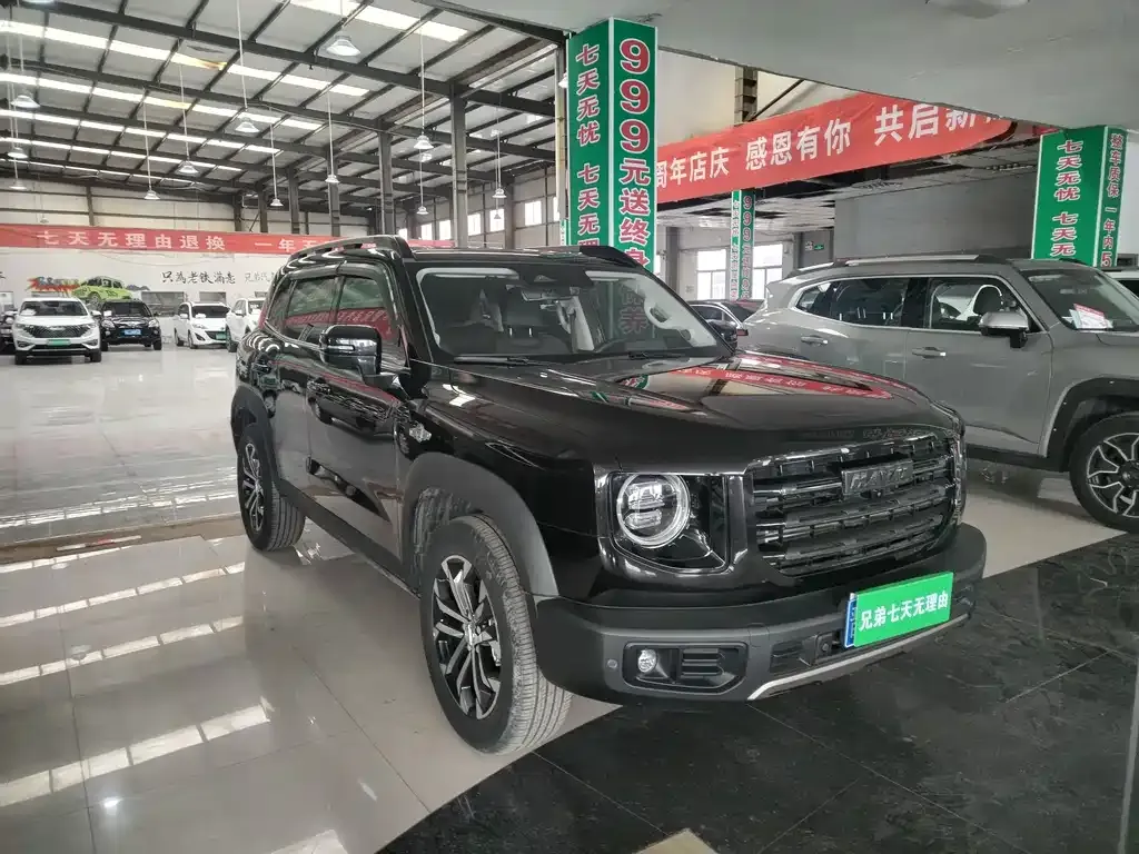 Haval Big Dog 2021 из CN, фото 5