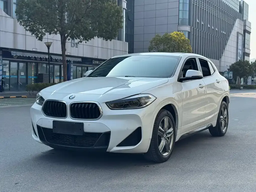 BMW X2 2021 из CN, фото 1
