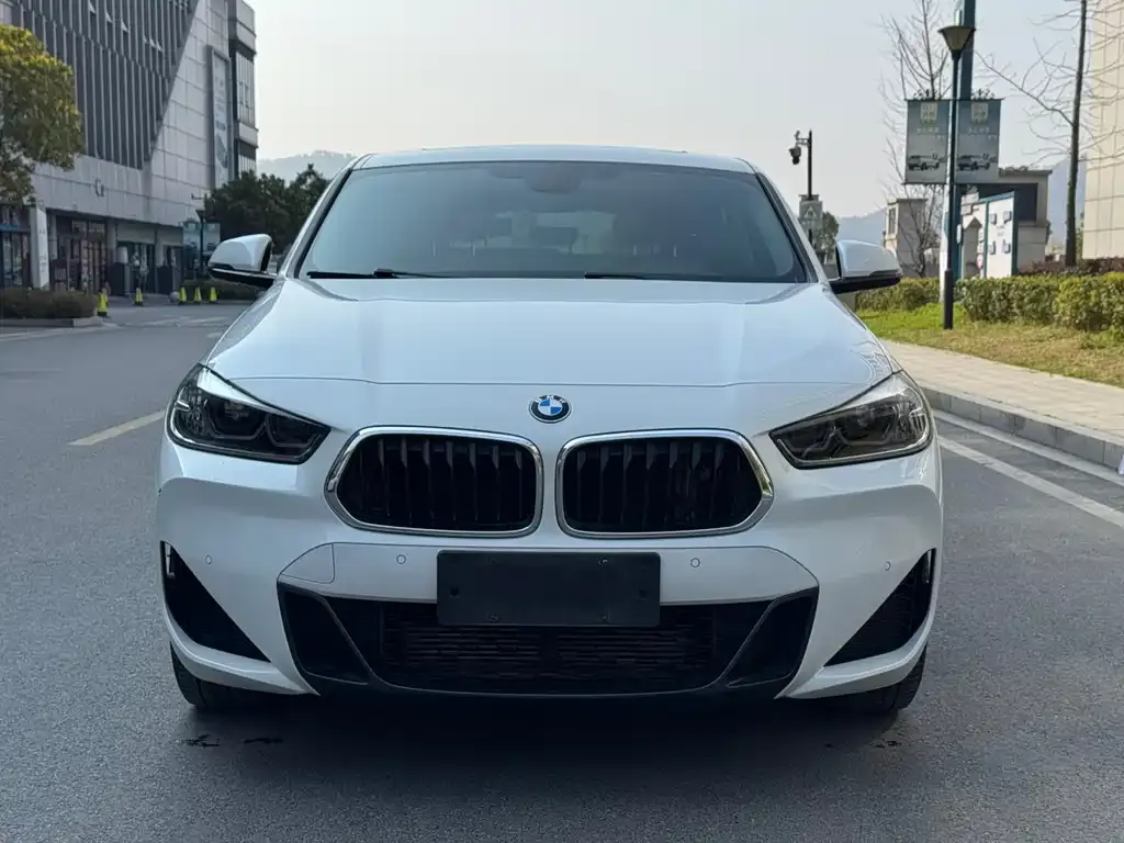 BMW X2 2021 из CN, фото 7