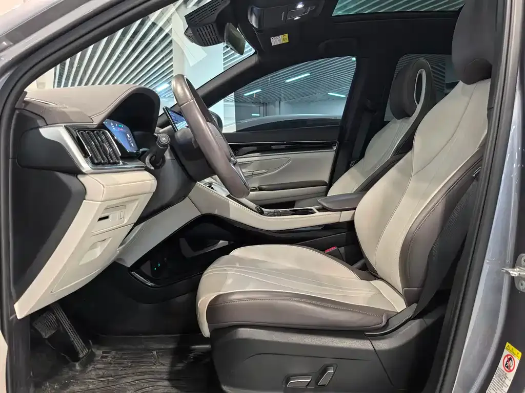 BYD PLUS New Energy 2024 из CN, фото 8