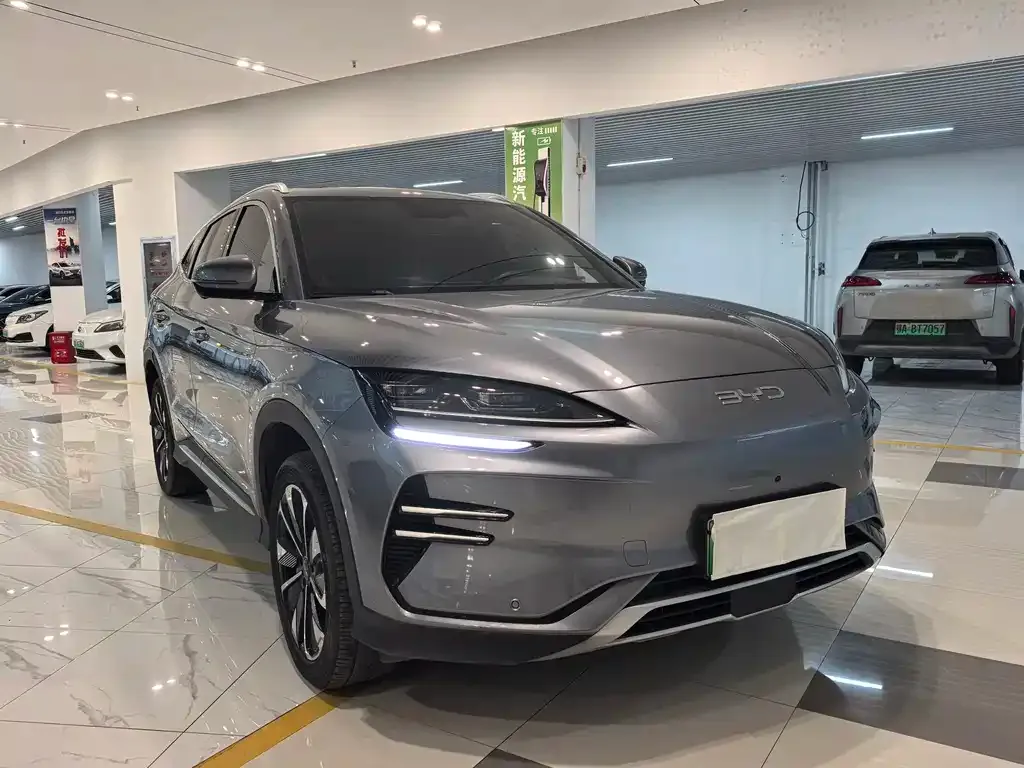 BYD PLUS New Energy 2024 из CN, фото 2