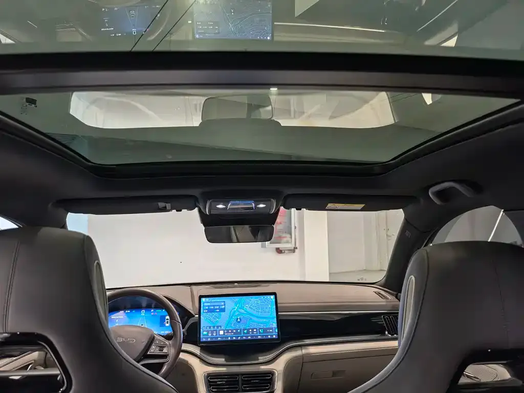 BYD PLUS New Energy 2024 из CN, фото 3