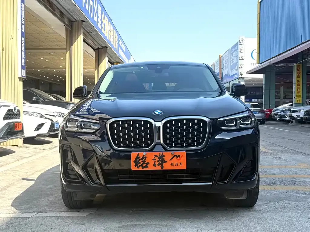 BMW X4 2021 из CN, фото 9