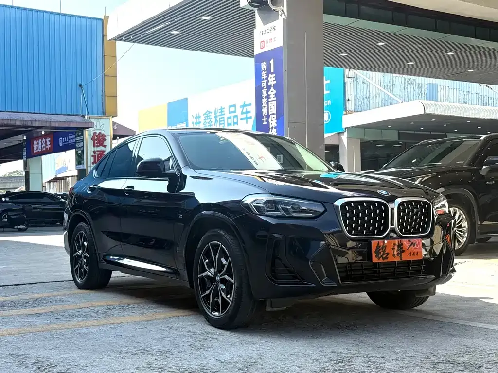 BMW X4 2021 из CN, фото 3