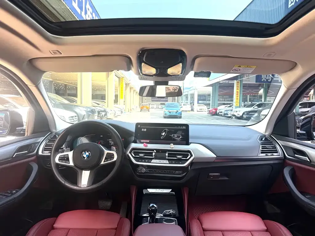 BMW X4 2021 из CN, фото 6