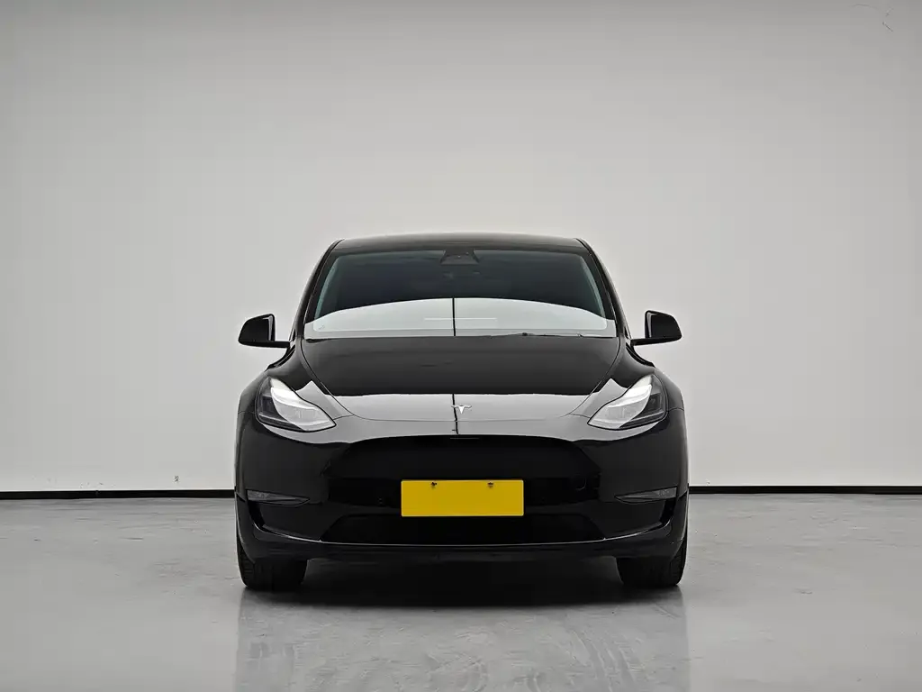 Tesla Model Y 2022 из CN, фото 2