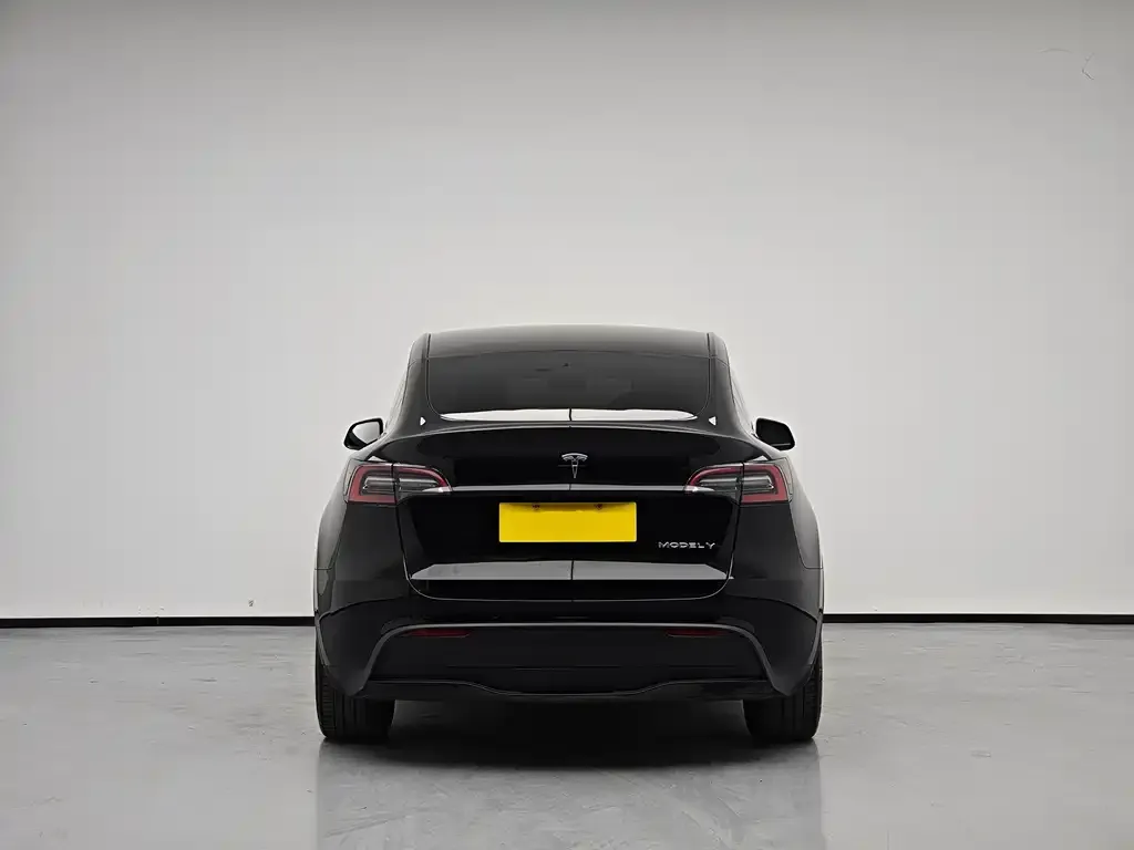 Tesla Model Y 2022 из CN, фото 3