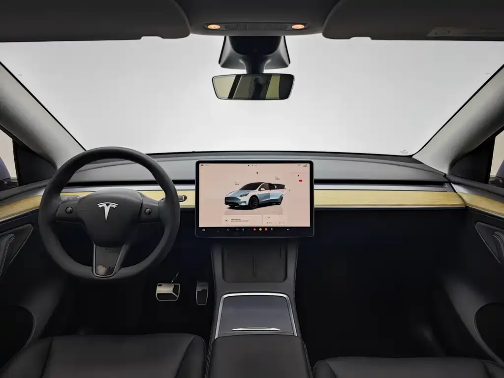 Tesla Model Y 2022 из CN, фото 8