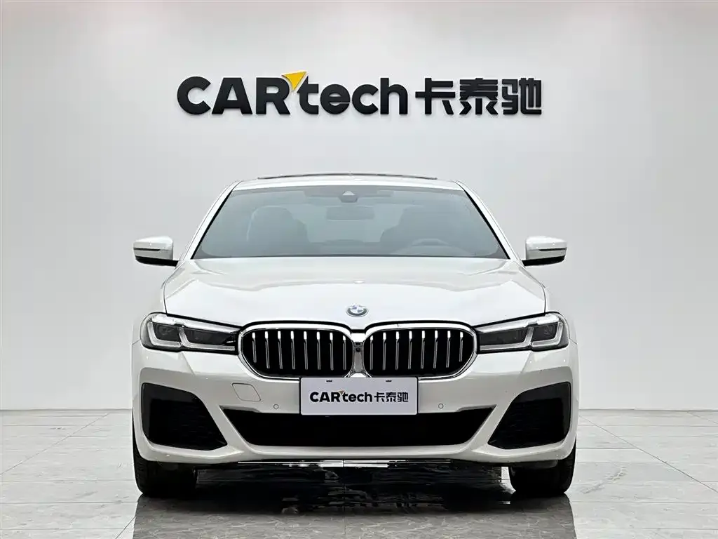 BMW 5 Series 2024 из CN, фото 10