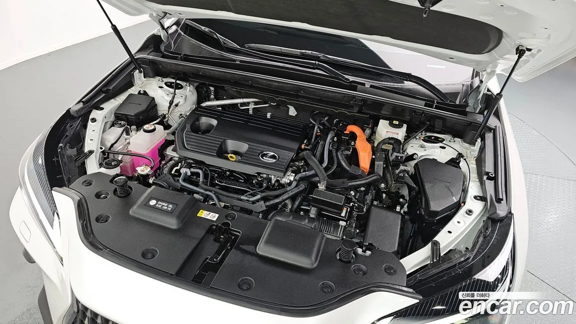 Lexus NX 2025 из KR, фото 5