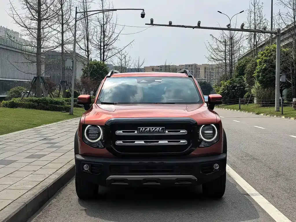 Haval Big Dog 2021 из CN, фото 9