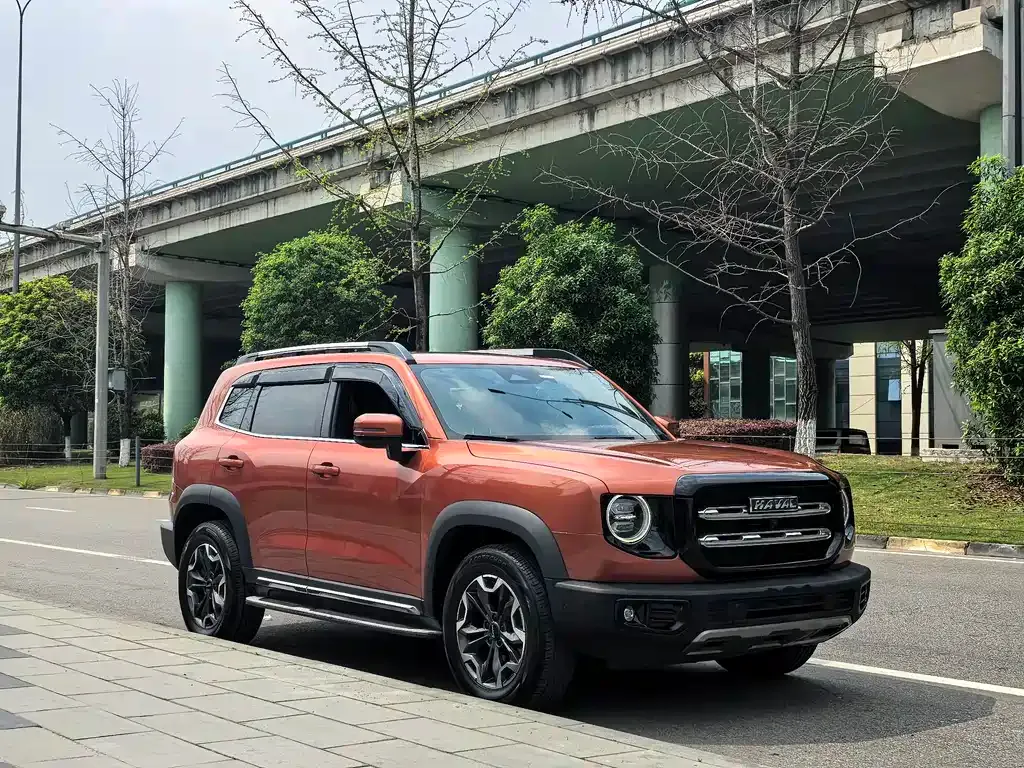 Haval Big Dog 2021 из CN, фото 4