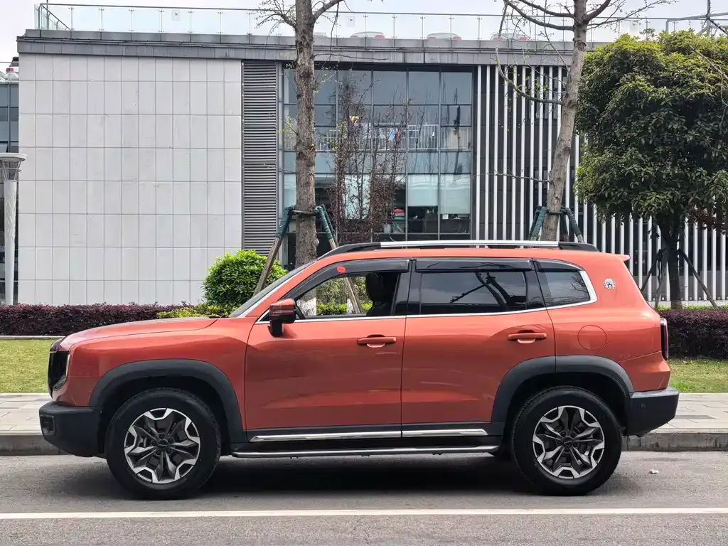 Haval Big Dog 2021 из CN, фото 6