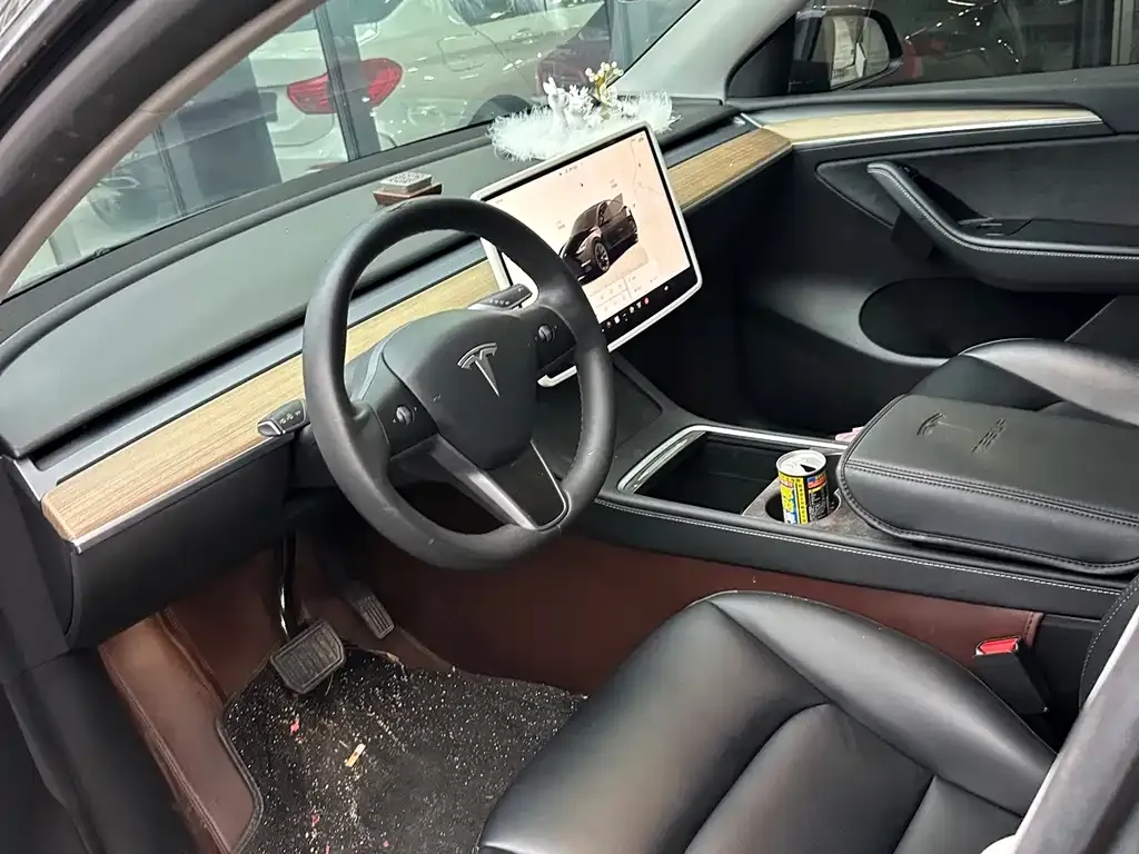 Tesla Model Y — фото 6