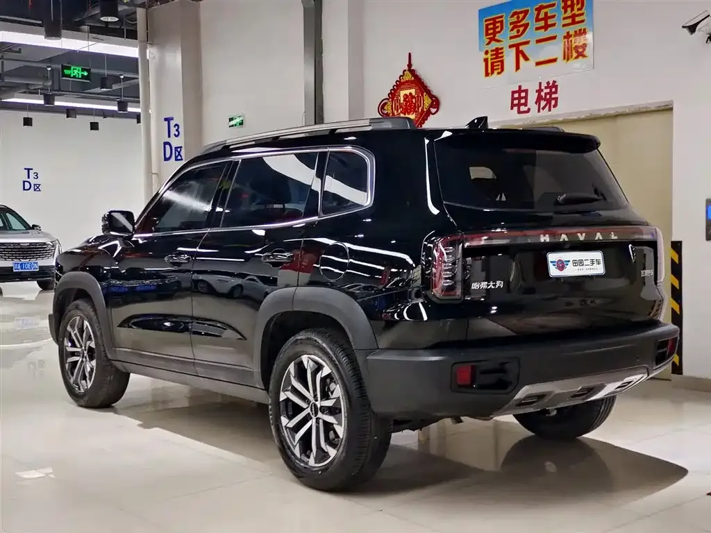 Haval Big Dog 2024 из CN, фото 8