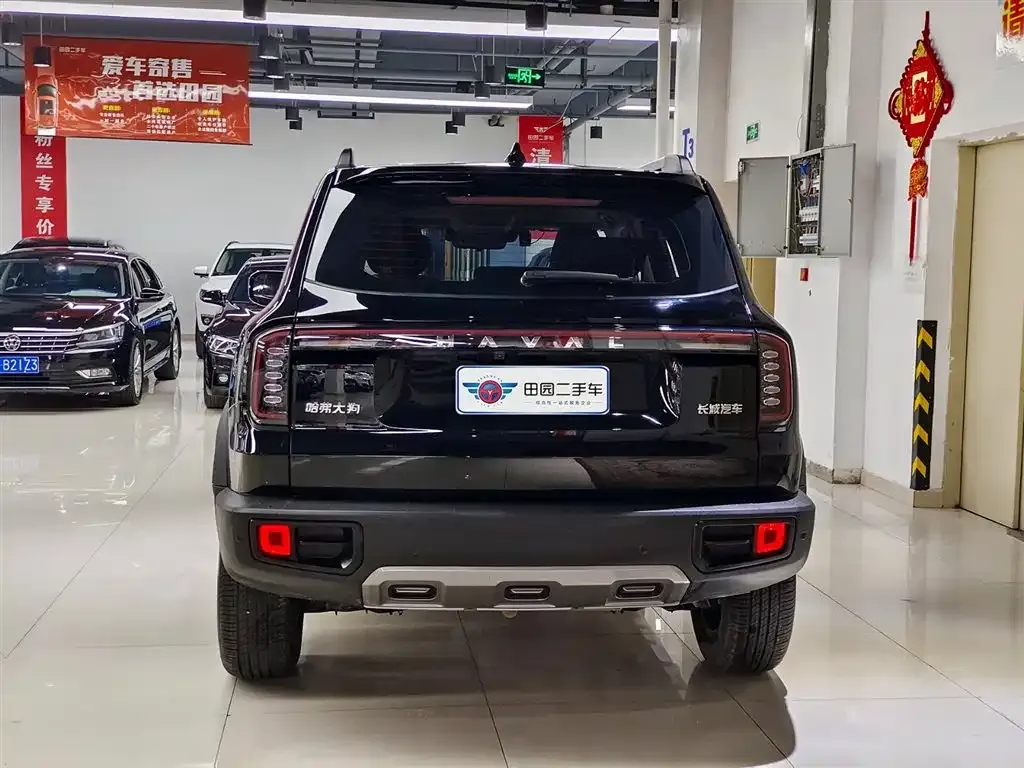 Haval Big Dog 2024 из CN, фото 5