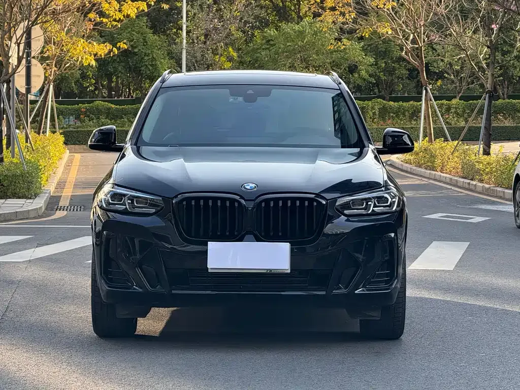 BMW X3 2022 из CN, фото 10