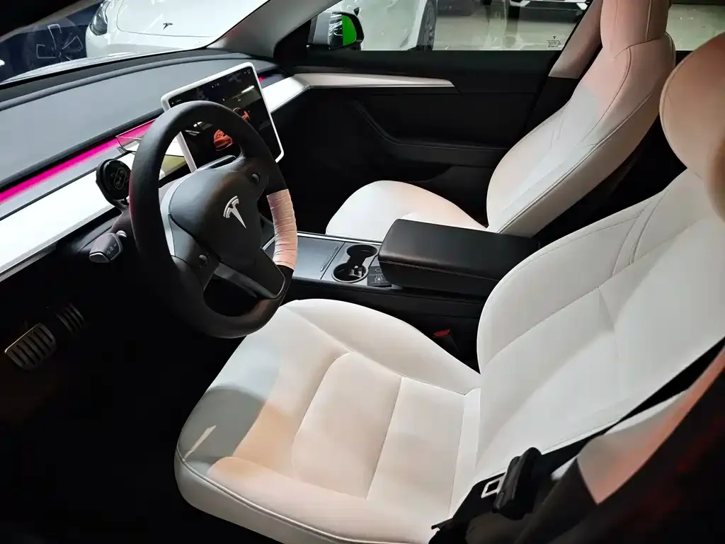 Tesla Model 3 2022 из CN, фото 2