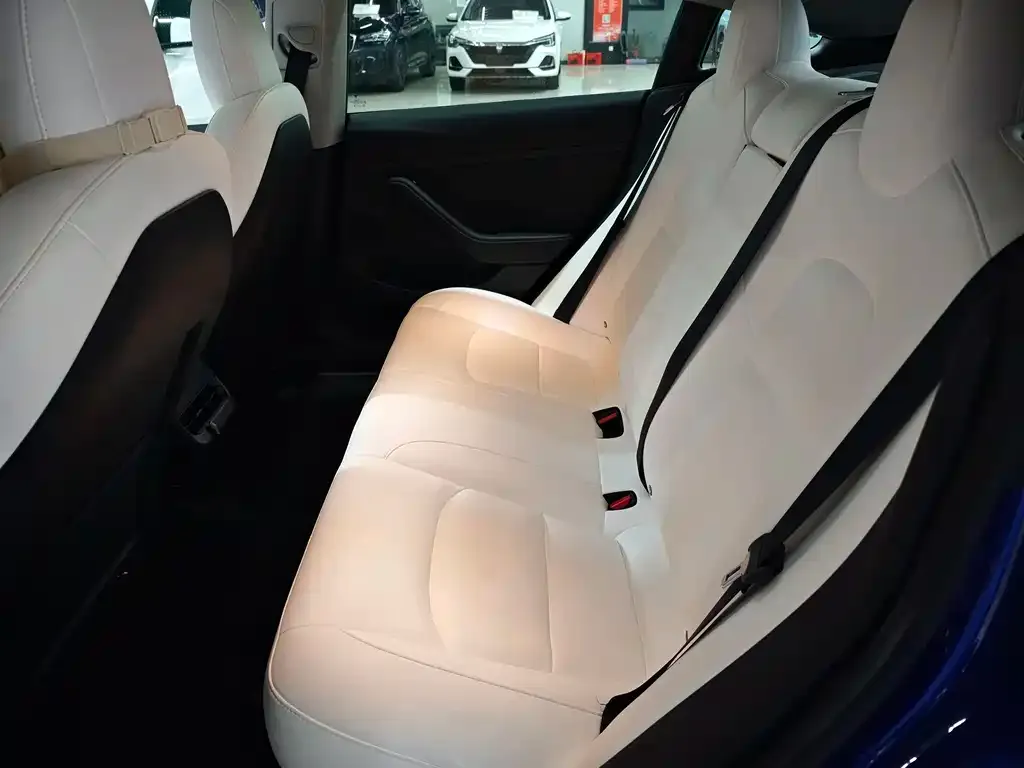 Tesla Model 3 2022 из CN, фото 5