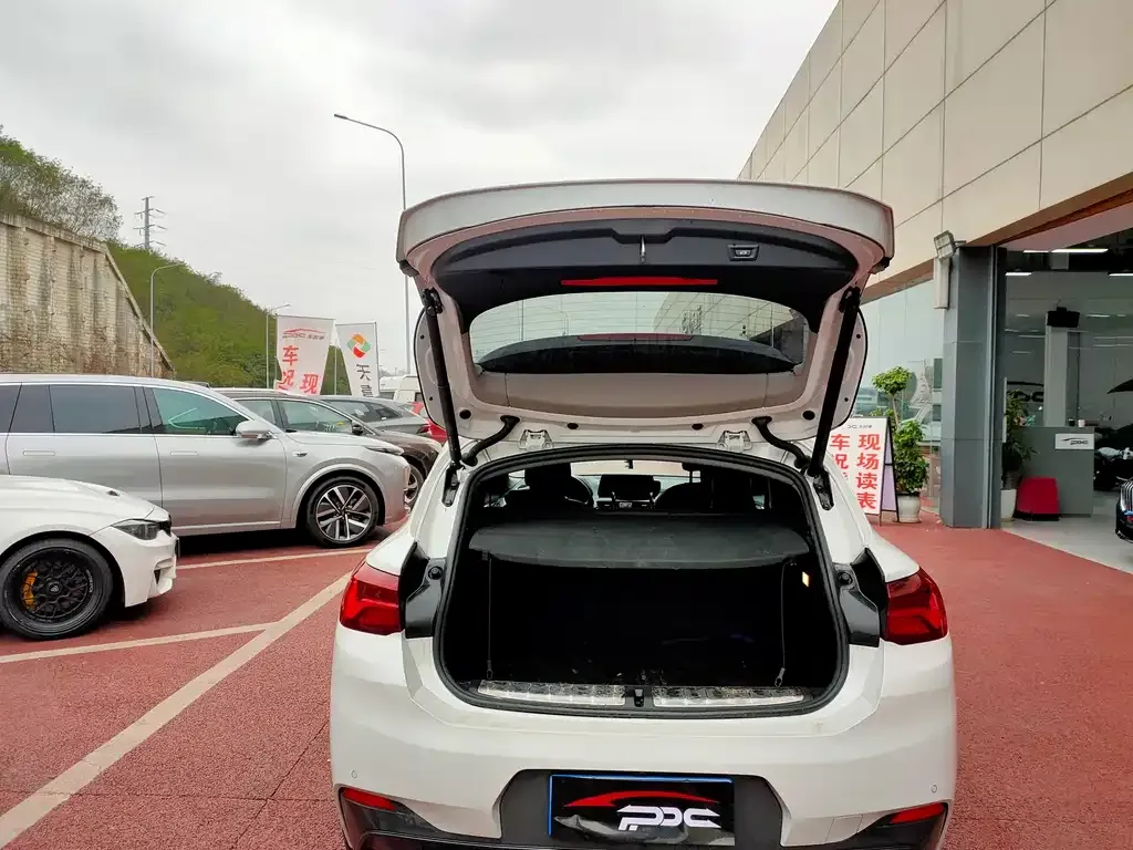 BMW X2 2023 из CN, фото 4
