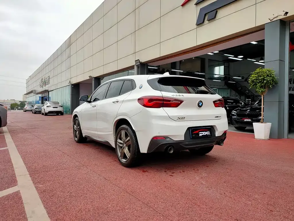 BMW X2 2023 из CN, фото 5