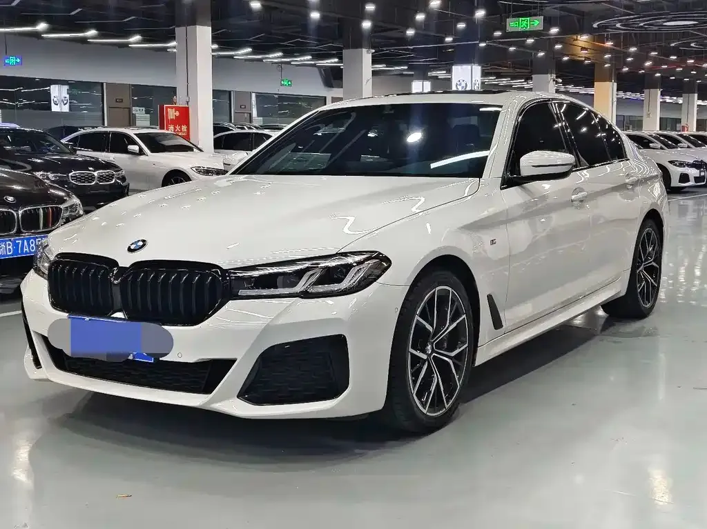 BMW 5 Series (Import) — фото 1