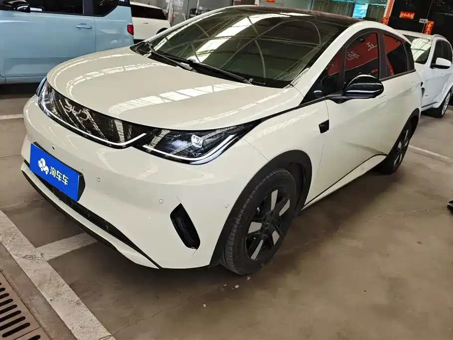 BYD Dolphin 2025 из CN, фото 1
