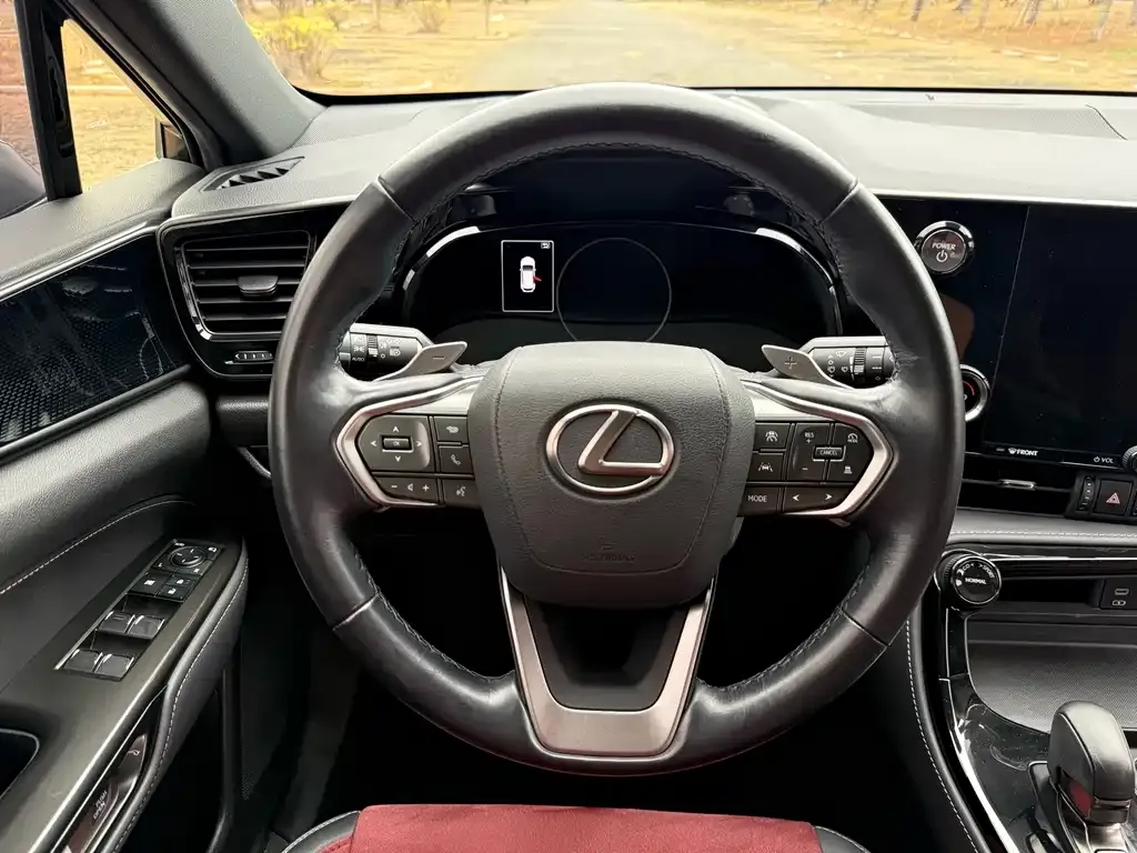 Lexus NX — фото 6