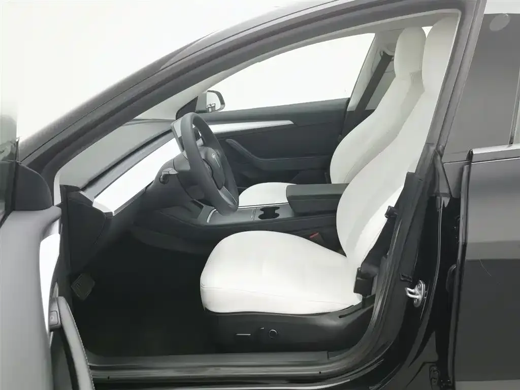 Tesla Model 3 2021 из CN, фото 8