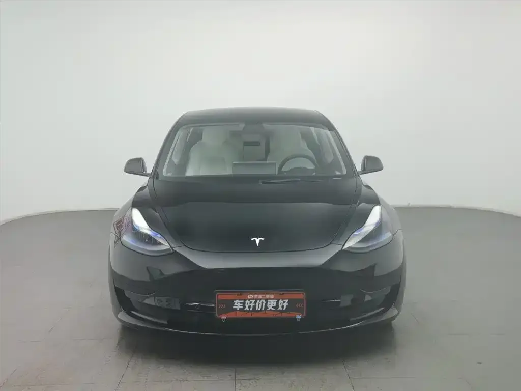 Tesla Model 3 2021 из CN, фото 3