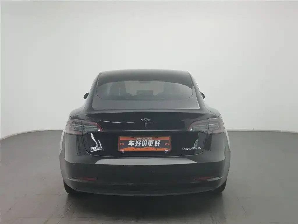Tesla Model 3 2021 из CN, фото 2