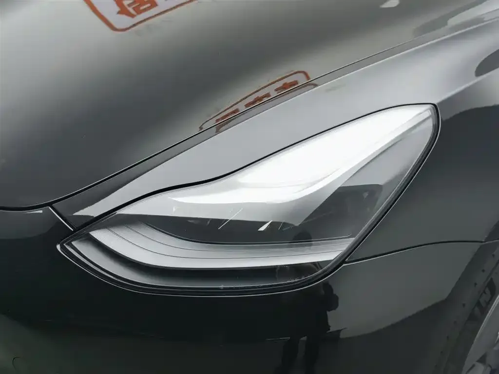 Tesla Model 3 2021 из CN, фото 9