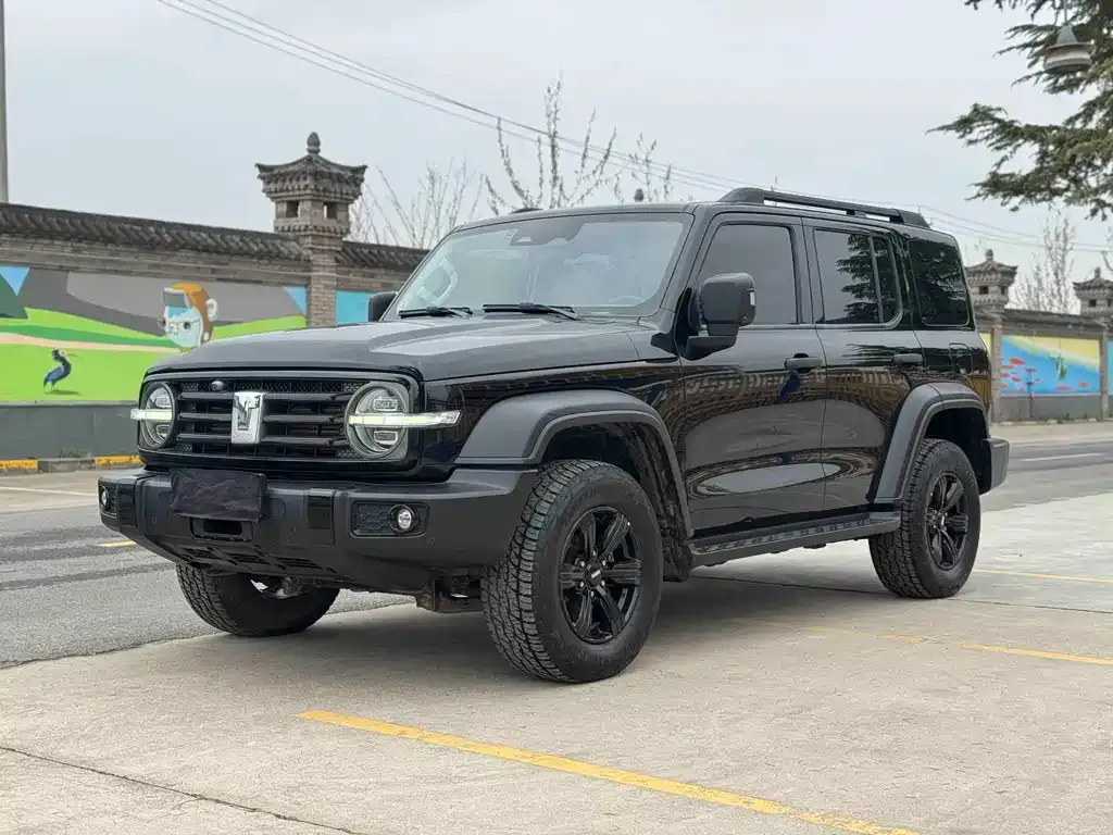 Tank 300